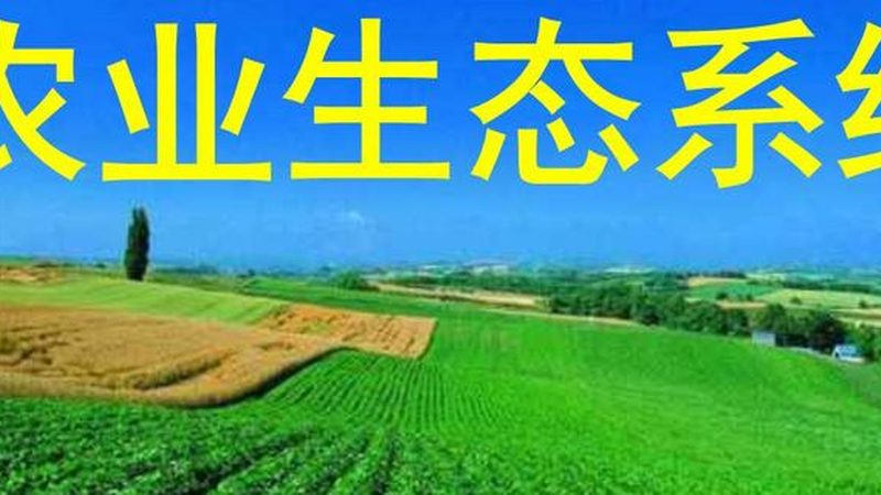 选择一个有实力、口碑良好的加盟品牌至关重要。投资者可以从以下几个方面进行考察：