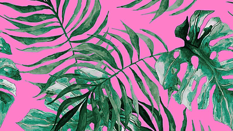 粮食种植合作社：分类与特点解析