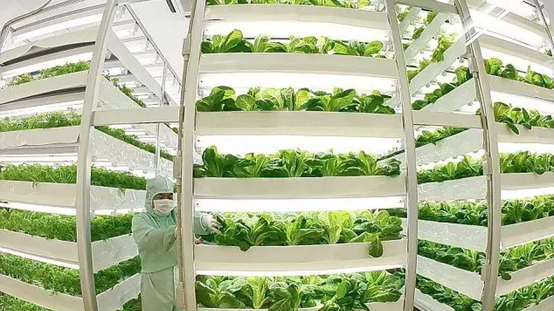 合作社章程范本：广东农民合作社规范化运营的基石