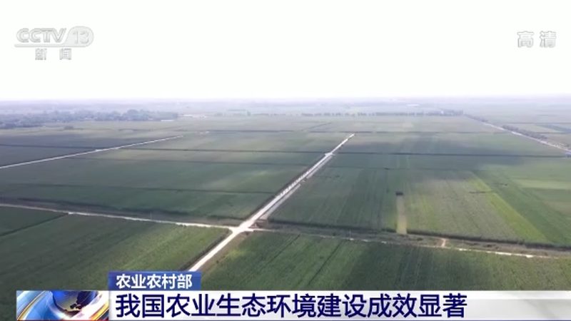 猕猴桃树修剪步骤视频