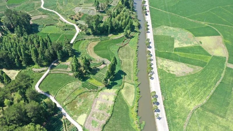 一楼院子水果种植品种推荐：因地制宜，收获满满