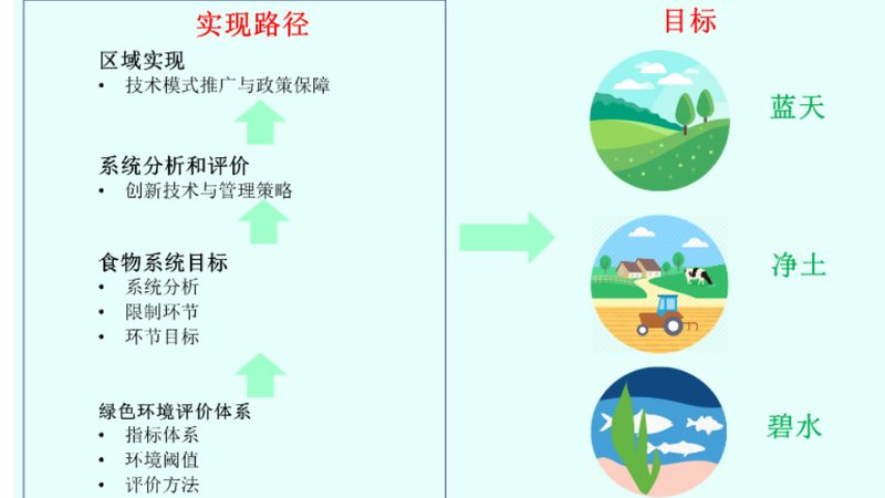 上海有机蔬菜配送：直供背后的生态秘密