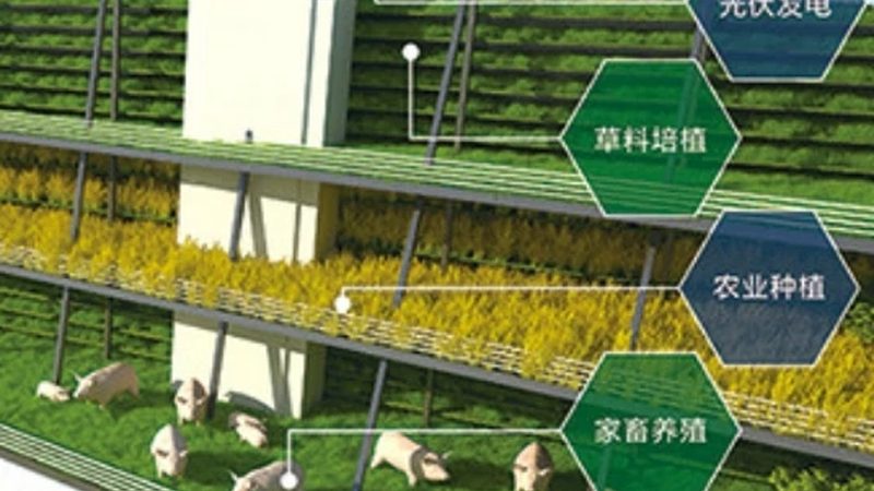 生态农业产业链搭建：从源头到终端的完整步骤