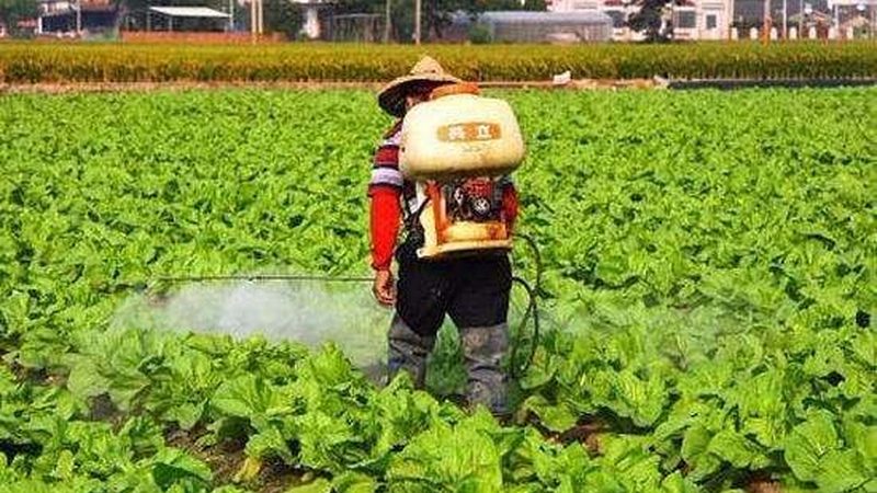 有机食品，婴幼儿健康成长的第一道防线