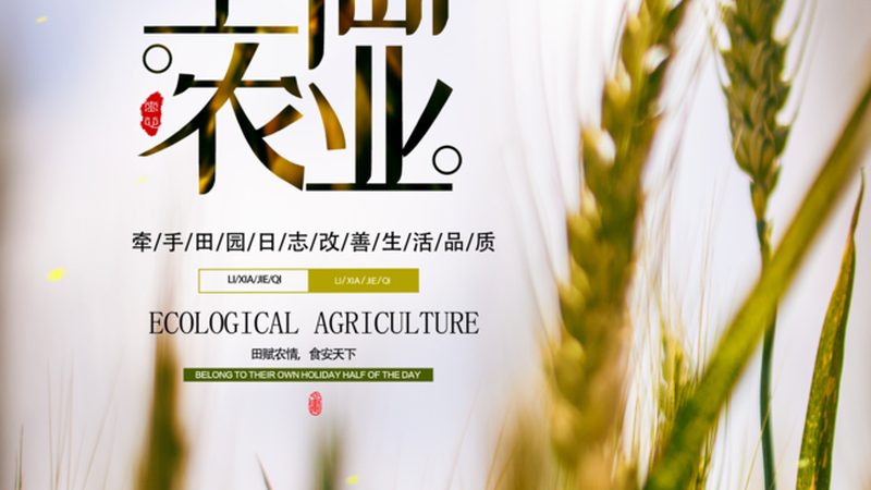 果蔬配送O2O平台：如何挑选最适合您的解决方案